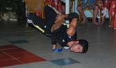 Enlarge photo 175