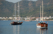 Enlarge photo 183