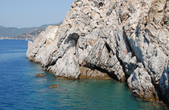 Enlarge photo 191