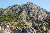 Enlarge photo 194