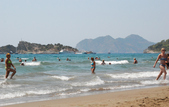 Enlarge photo 196