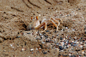 Enlarge photo 197