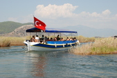 Enlarge photo 198