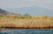 Enlarge photo 199