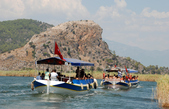 Enlarge photo 202