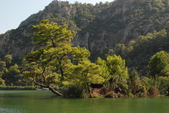 Enlarge photo 206