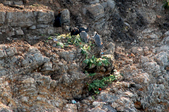 Enlarge photo 208