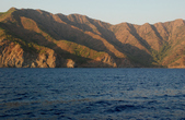 Enlarge photo 209
