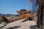 Enlarge photo 217
