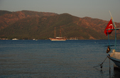 Enlarge photo 221