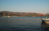 Enlarge photo 223