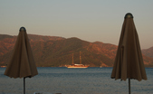 Enlarge photo 224