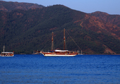 Enlarge photo 225
