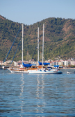 Enlarge photo 230