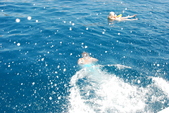 Enlarge photo 233