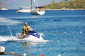 Enlarge photo 236