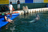 Enlarge photo 240