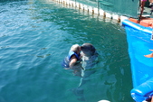 Enlarge photo 242