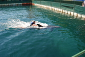 Enlarge photo 243