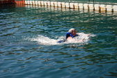 Enlarge photo 246