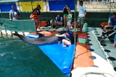 Enlarge photo 247
