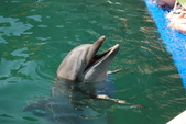 Enlarge photo 249
