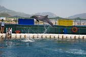 Enlarge photo 251