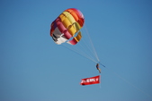Enlarge photo 255