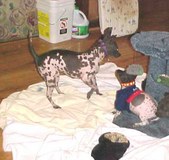 Enlarge photo 42