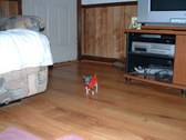 Enlarge photo 60