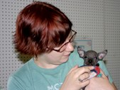 Enlarge photo 15