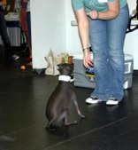 Enlarge photo 26