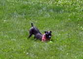 Enlarge photo 39
