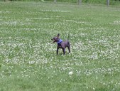 Enlarge photo 42