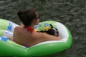 Enlarge photo 21