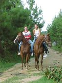 Enlarge photo 30