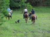 Enlarge photo 13