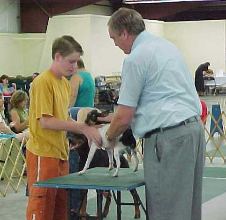 Enlarge photo 40