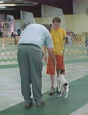 Enlarge photo 43