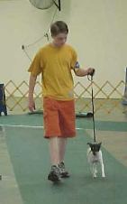 Enlarge photo 45