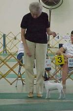 Enlarge photo 46