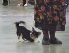 Enlarge photo 56