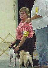 Enlarge photo 24