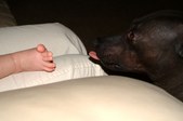 Enlarge photo 13