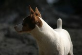 Enlarge photo 93