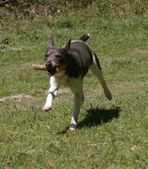 Enlarge photo 25