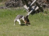 Enlarge photo 24