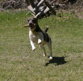Enlarge photo 22