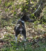 Enlarge photo 23
