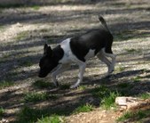 Enlarge photo 4